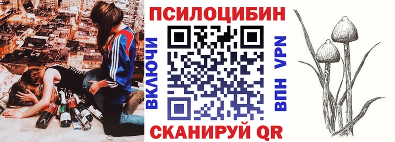 сайты даркнета официальный сайт  Нурлат  Галлюциногенные грибы Psilocybine cubensis 